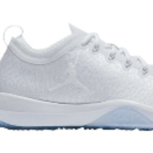 Air Jordan Trainer 1 Low Men's Training Shoe